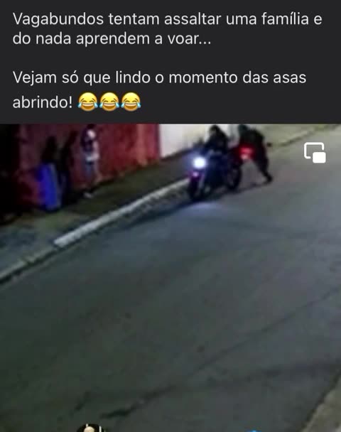 Thieves try to rob Family and learn to fly...