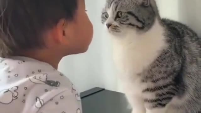 #FUNNY CAT 🐱🐱🐱🐱