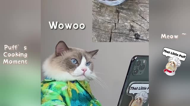 Next level creativity