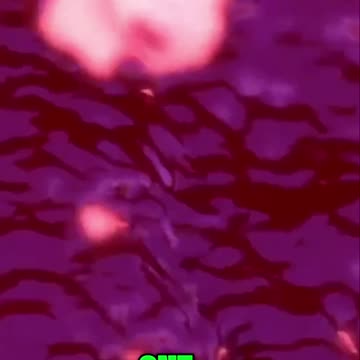 Understanding Your Menstrual Cycle: Key Phases Explained