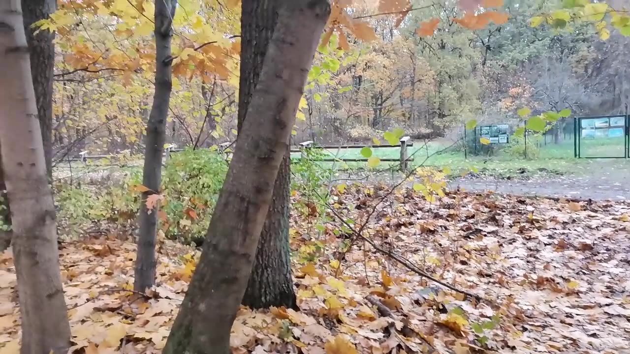 gdzieś się podziała ...