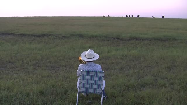 Serenading the cattle with my trombone (Lorde - Royals)