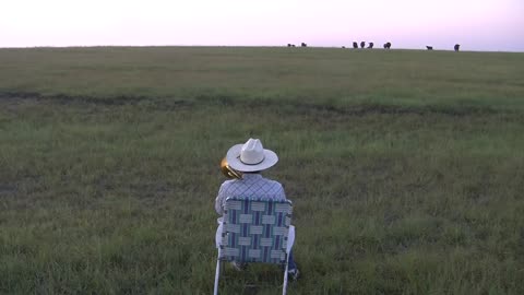 Serenading the cattle with my trombone (Lorde - Royals)