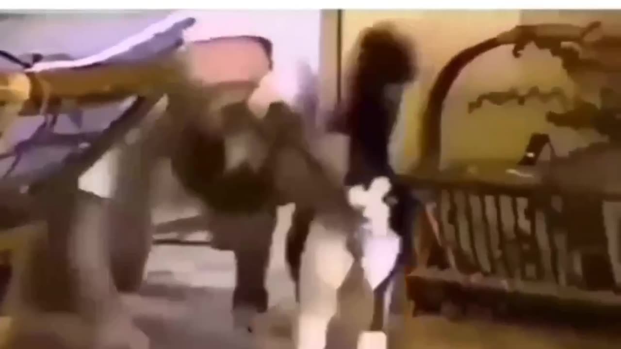 Karen forgets to give her cat food...see what the cat does🤣