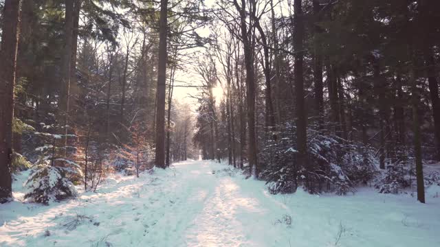 Winter Cinematic Video 4K | Winter Scenery Video | Nature Drone Footage