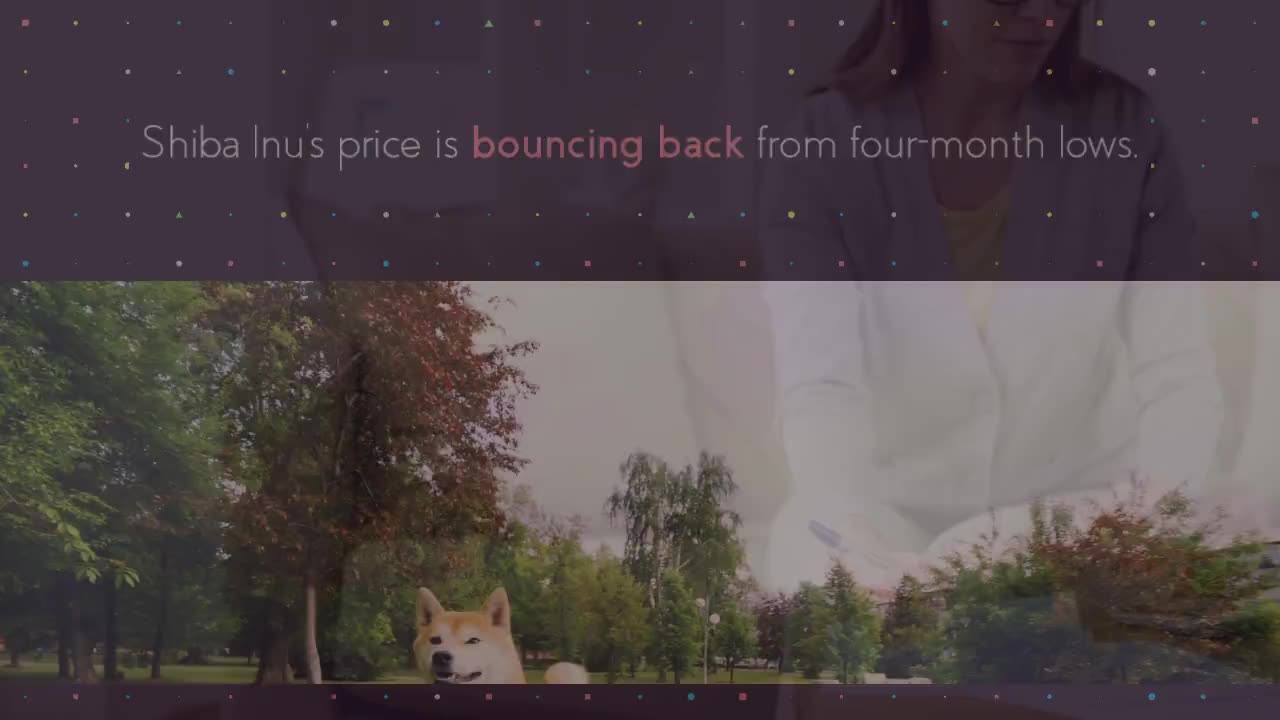 Shiba Inu Investors Turn Optimistic as 42% SHIB Supply Faces Losses