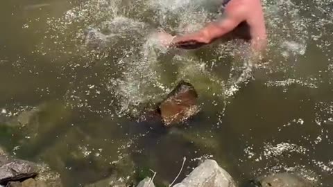 dont ever catch snake like that always go for head or they can always bite