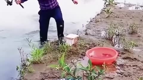 Funny TikTok videos