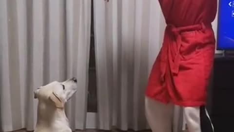 Curiquitaca challenge with dog