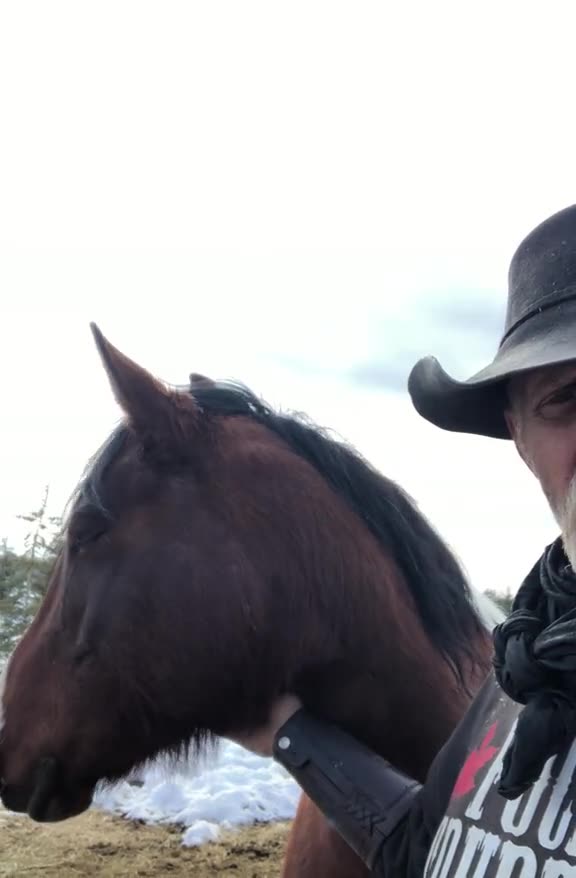 True Canadian Cowboy: I want To Thank🙏Each And Everyone Of You🐎