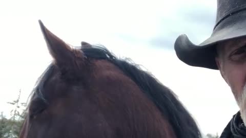 True Canadian Cowboy: I want To Thank🙏Each And Everyone Of You🐎