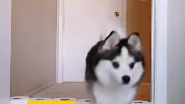 Will I make it