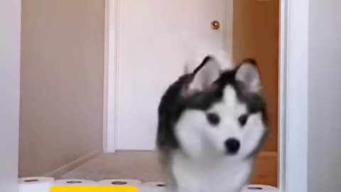 Will I make it