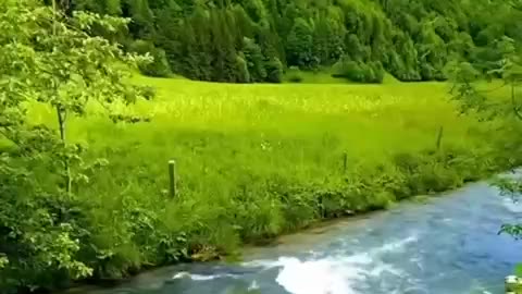 THE GREAT HOLY QURAN