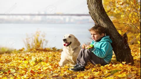 Looking Dog for Kids# # Top 5 dog breeds for shy Children# Dog breeds for kids# Pets in India
