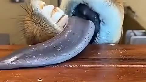 Uh-huh, I know there's more up there