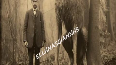 OΛΑ ΑΥΤΑ... ΘΑΝΑΤΩΘΗΚΑΝ ??? 👀🔥 Η'.... ΚΑΠΟΥ.... ΕΙΝΑΙ ???😉🔥