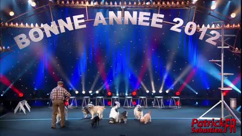 Wolfgang Lauenburger - Dressage de Chiens - Le Plus Grand Cabaret Du Monde