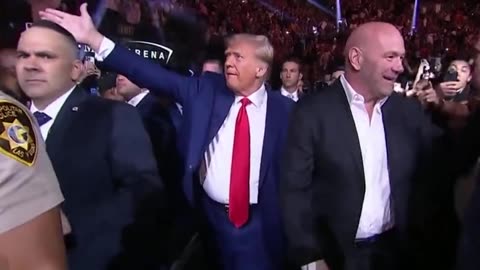 trump vs biden