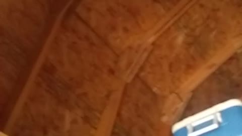 Something in the Rafters