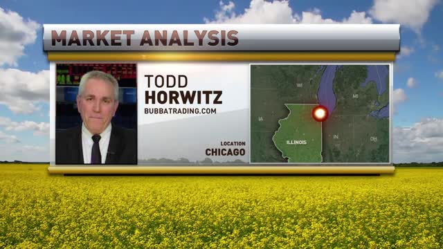 Markets took off for July 4th Holiday