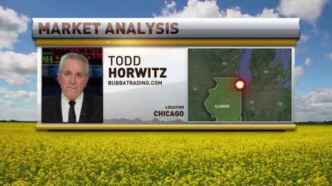 Markets took off for July 4th Holiday