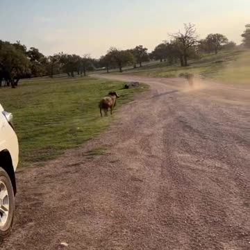 Nice fighting 🥺🥺🥺