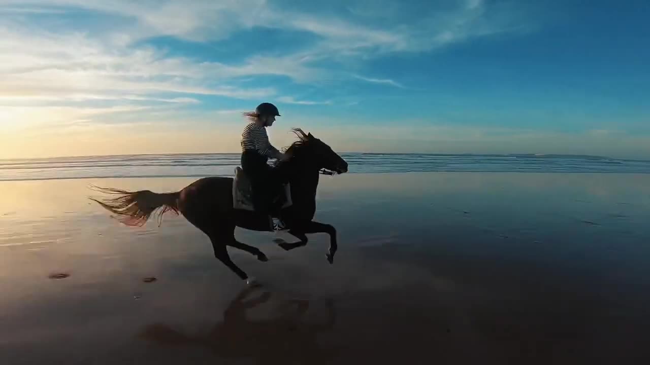Best horse running moments 🏇👑🥀