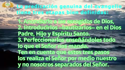 Capítulo 15 - Las prácticas (1/5)