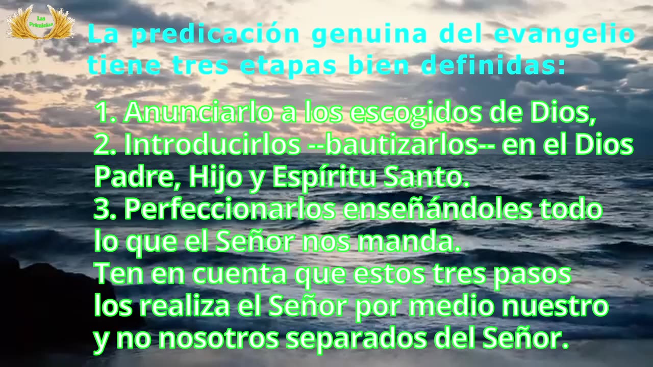 Capítulo 15 - Las prácticas (1/5)
