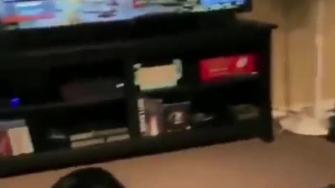 This dog Horribly scared🤣😂 from the video game his owner playing