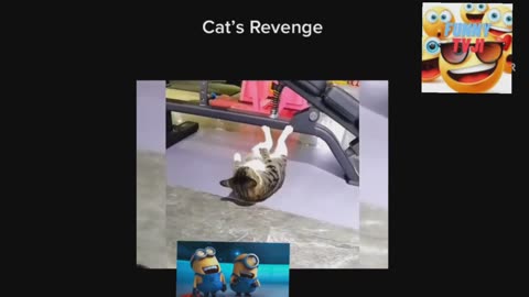 Cat Revange video_2023_04_16_08