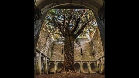 Forgotten Places