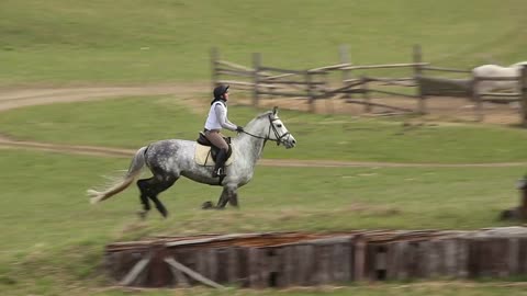 Jockey on Horse in Gallop