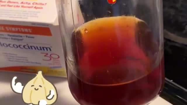 Elderberry- How to make it at home