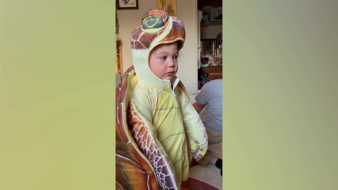 Funny Baby Moment : Happy Baby and Daddy Will Make You Laugh Hard-3