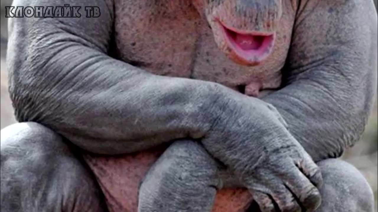Inexplicable phenomena filmed on camera in Russia and the world