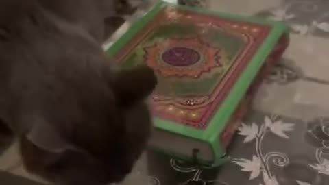 quran