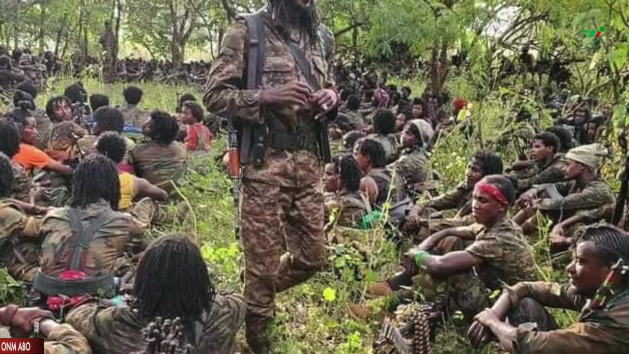 Tarkaanfii ammee ONM-ABO Caamsa 28-2025 itti dhiyaadhaa!