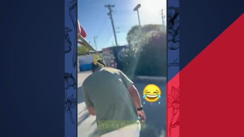 "Insect Prank Compilation: Bug-filled Laughter Galore!"