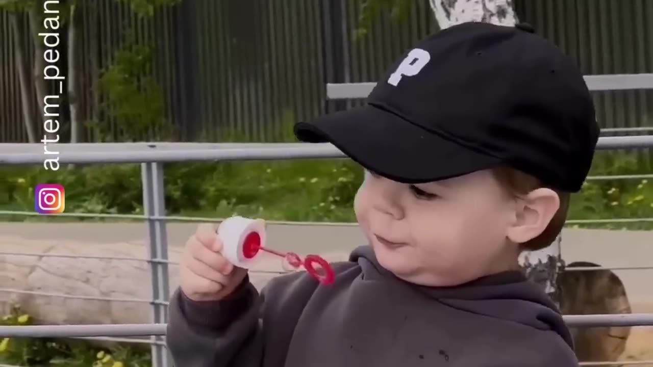 The end 😂😂😂 #funny #viral #shorts #funnyvideos #comedytherapy 3
