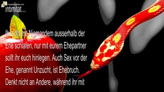 Meine Antworten bezüglich Sex, Heirat & Ehebruch 🎺 Die Trompete Gottes