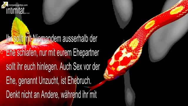 Meine Antworten bezüglich Sex, Heirat & Ehebruch 🎺 Die Trompete Gottes