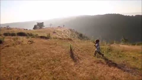 Fly Like An Eagle, Steve Miller Band