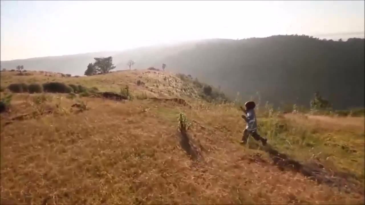 Fly Like An Eagle, Steve Miller Band