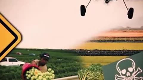 Plaguicidas: la contaminación en las plantas y cultivos.