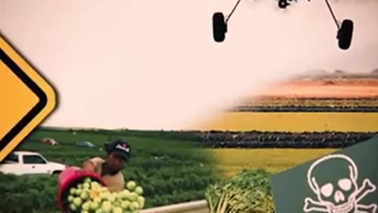 Plaguicidas: la contaminación en las plantas y cultivos.