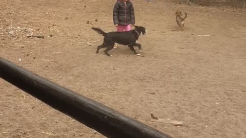 A kid and her furry friends