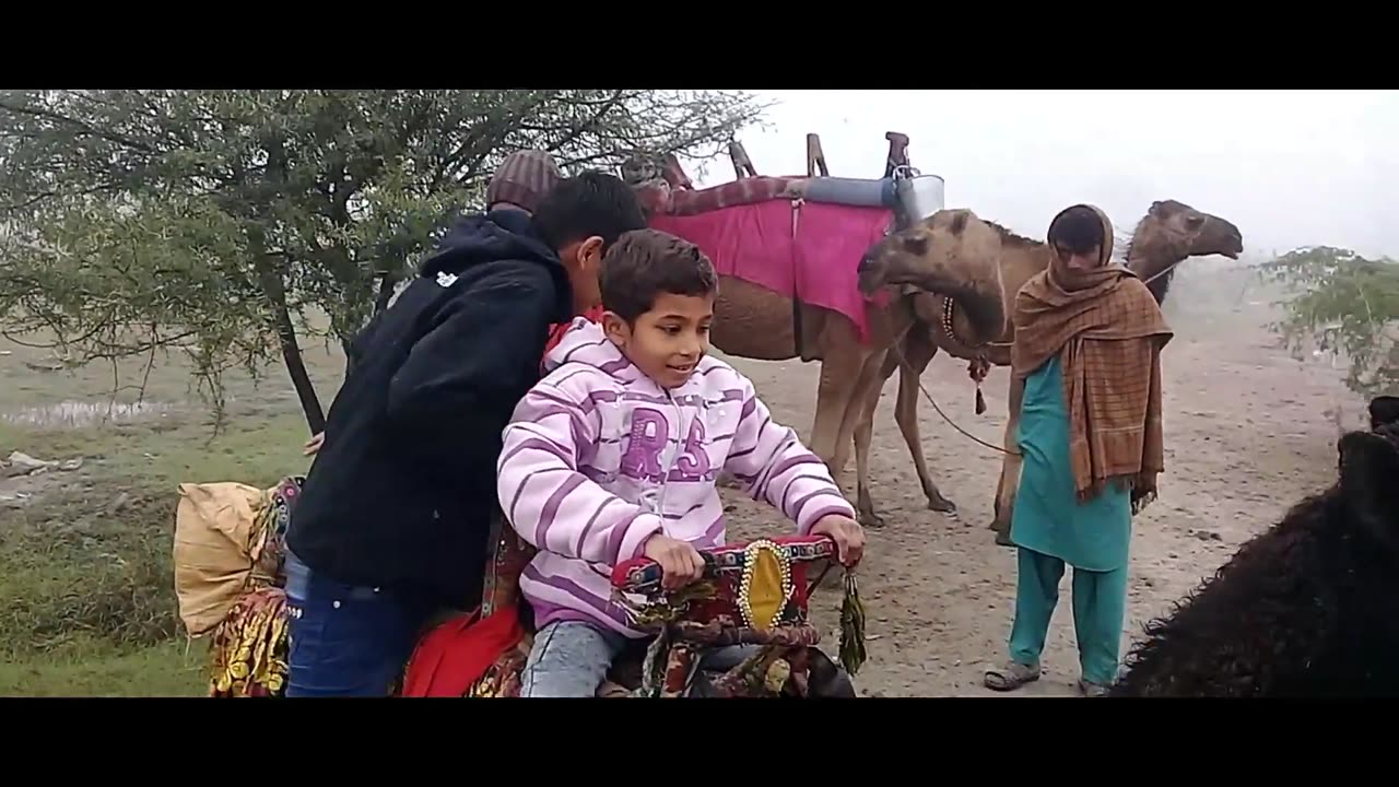 Morning walk and a ride on camel _ thegreathasnain _ vlog _ first vlog._ oont ki swari