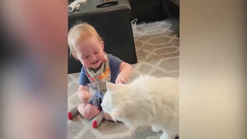 Cute baby playing with cat